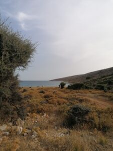 the wild South of Skyros